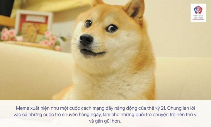 Ý nghĩa và tác động của ảnh chó meme trong văn hóa mạng