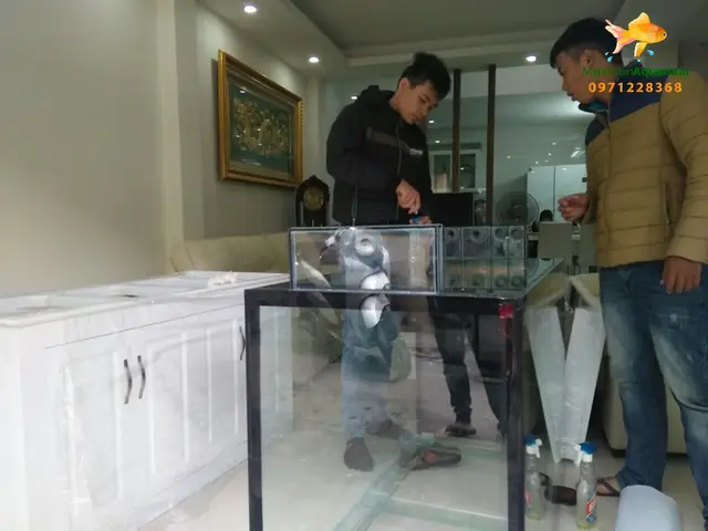 bán bể cá rồng bán bể cá rồng