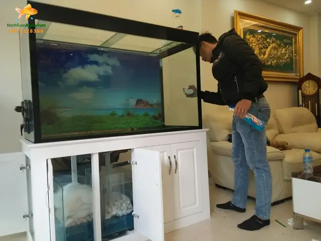 Hướng Dẫn Chi Tiết Cách Chọn Mua Và Bán Bể Cá Rồng Ưng Ý Nhất bán bể cá rồng