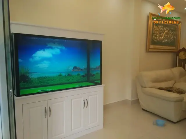 bán bể cá rồng bán bể cá rồng