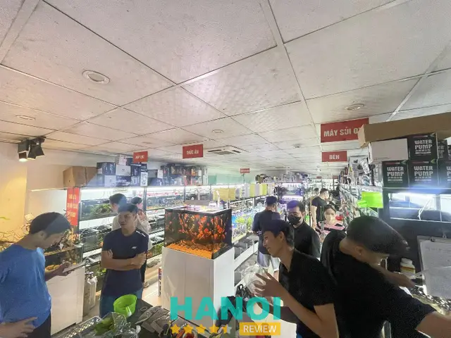 bán buôn cá cảnh bán buôn cá cảnh