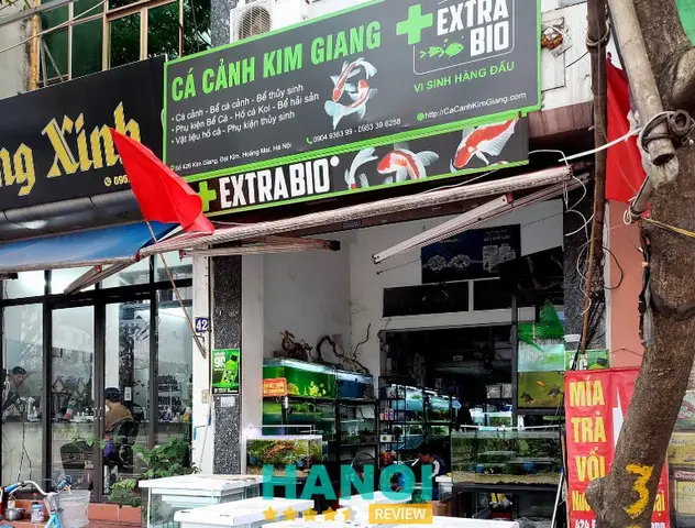 bán buôn cá cảnh bán buôn cá cảnh