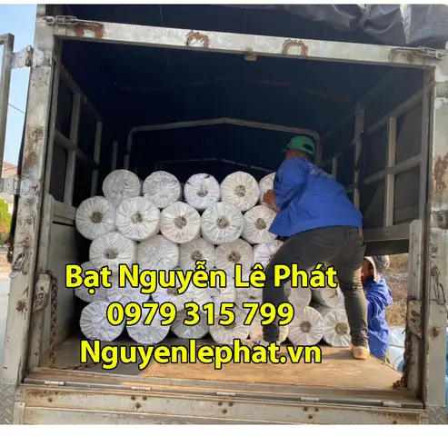 bán hồ cá cũ ở bình dương bán hồ cá cũ ở bình dương