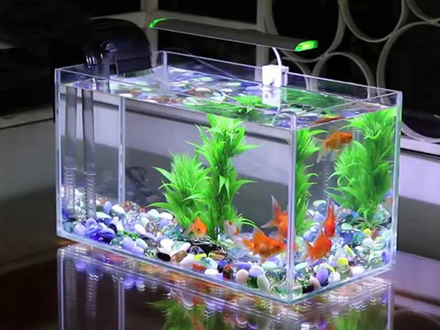 bán hồ cá cũ ở bình dương bán hồ cá cũ ở bình dương