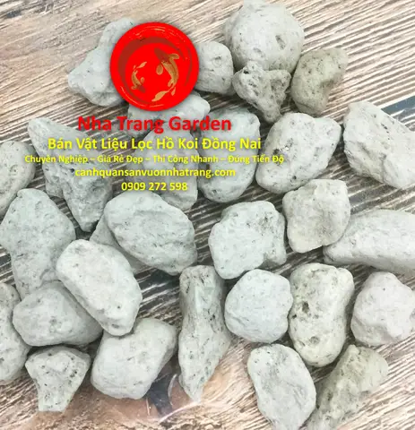 bán lọc hồ cá bán lọc hồ cá