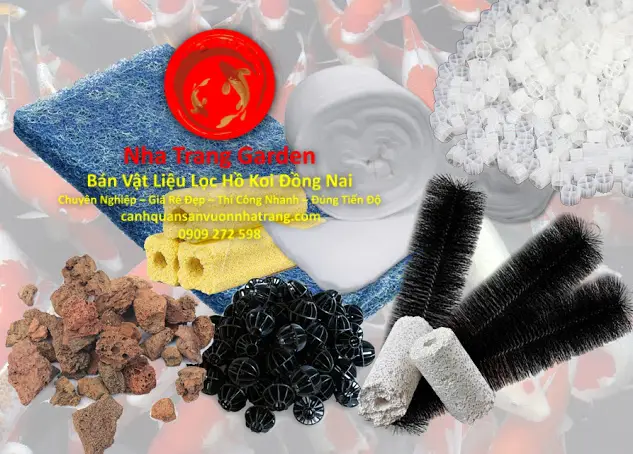 Hướng dẫn chi tiết cách chọn mua lọc hồ cá Koi phù hợp bán lọc hồ cá