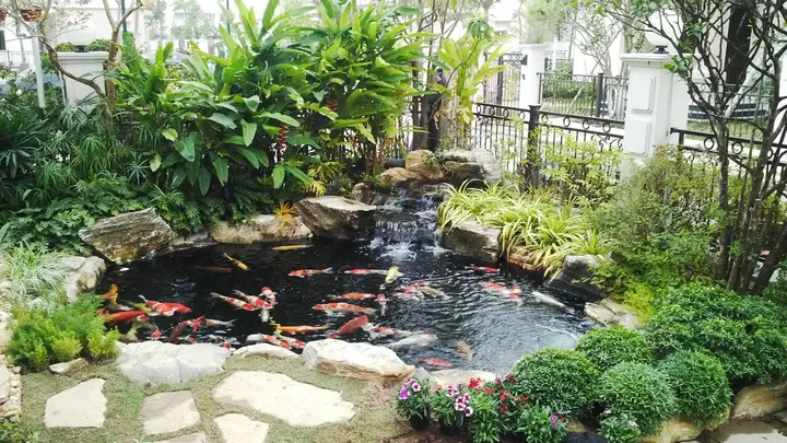 bể cá bảy màu ngoài trời bể cá bảy màu ngoài trời