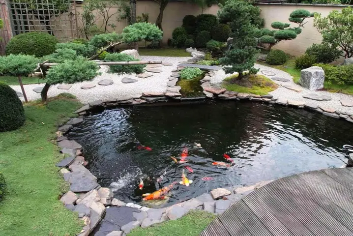 bể cá bảy màu ngoài trời bể cá bảy màu ngoài trời