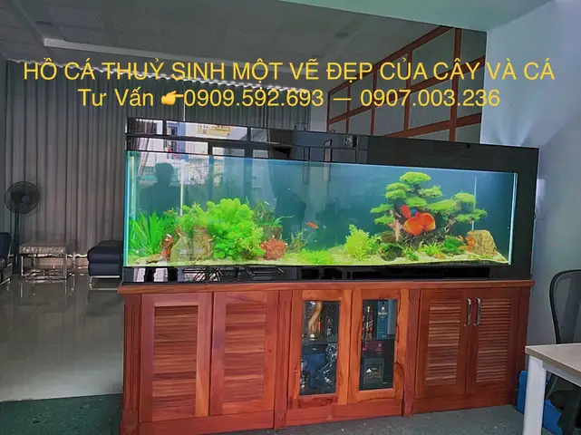 bể cá cảnh chân gỗ bể cá cảnh chân gỗ