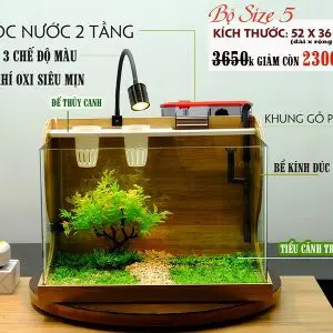 bể cá cảnh cỡ lớn bể cá cảnh cỡ lớn