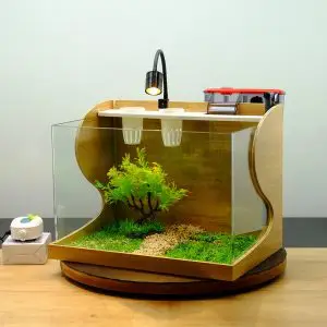 bể cá cảnh cỡ lớn bể cá cảnh cỡ lớn