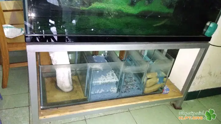 bể cá cảnh cũ giá rẻ bể cá cảnh cũ giá rẻ