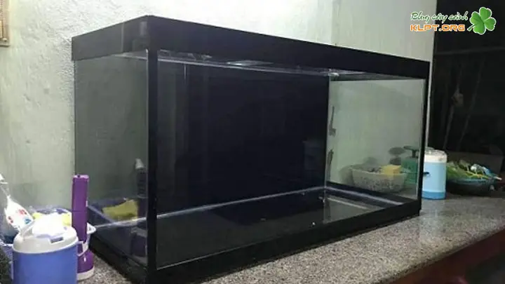 bể cá cảnh cũ giá rẻ bể cá cảnh cũ giá rẻ