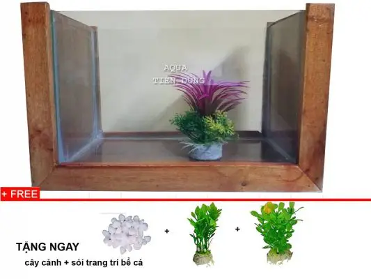 bể cá khung gỗ bể cá khung gỗ