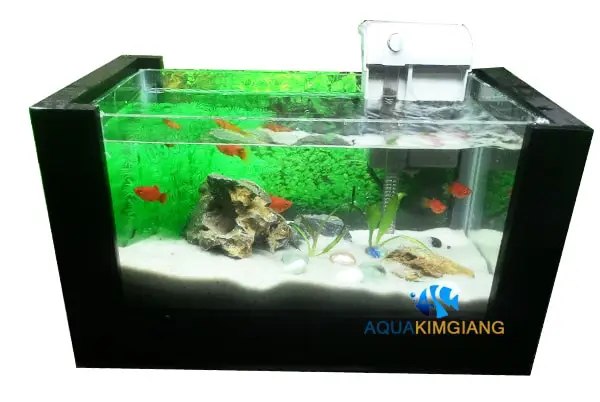 bể cá khung gỗ bể cá khung gỗ