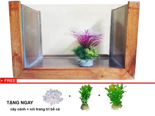 bể cá khung gỗ bể cá khung gỗ
