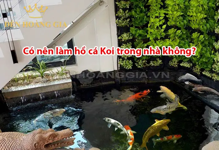 Bể Cá Koi Trong Nhà: Hướng Dẫn Chi Tiết Từ Thiết Kế Đến Chăm Sóc bể cá koi trong nhà