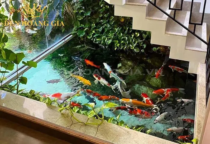 bể cá koi trong nhà bể cá koi trong nhà