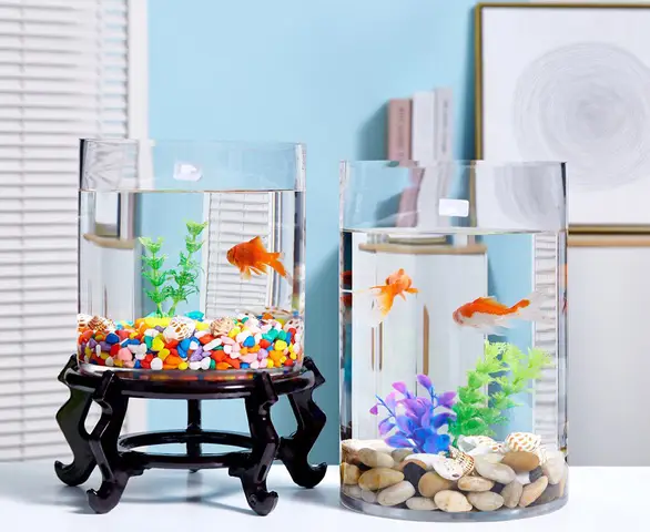 bể cá mini hình trụ bể cá mini hình trụ