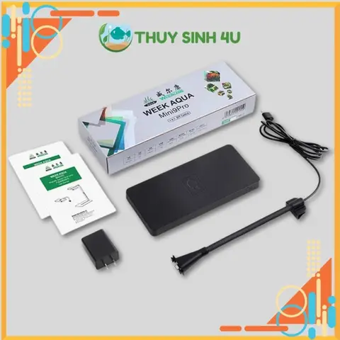 bể cá mini thông minh bể cá mini thông minh