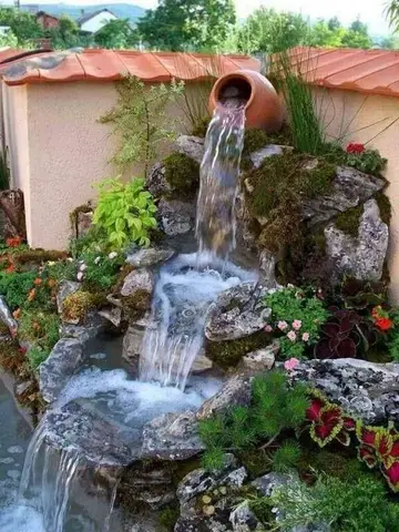 bể cá nhỏ ngoài trời bể cá nhỏ ngoài trời