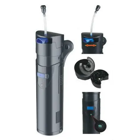 bể xi măng nuôi cá cảnh bể xi măng nuôi cá cảnh
