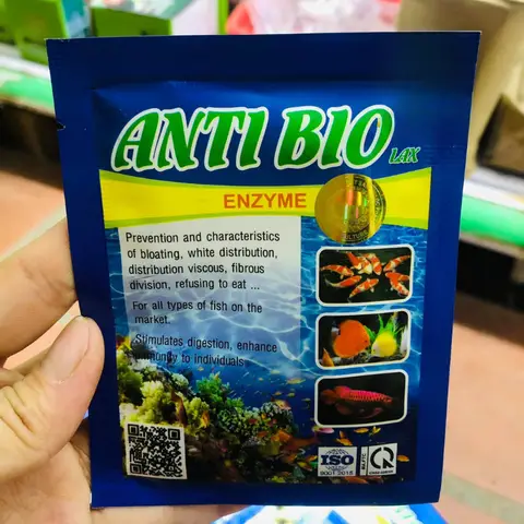 bệnh đường ruột ở cá cảnh bệnh đường ruột ở cá cảnh