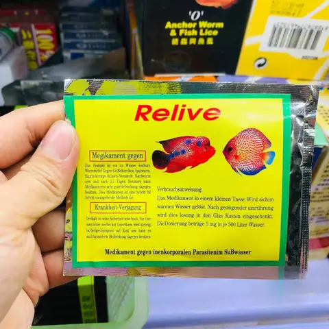 bệnh đường ruột ở cá cảnh bệnh đường ruột ở cá cảnh