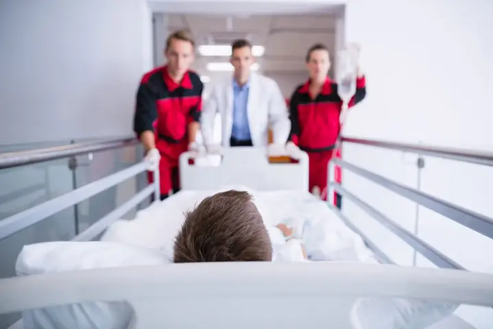 bị cá nóc cắn bị cá nóc cắn