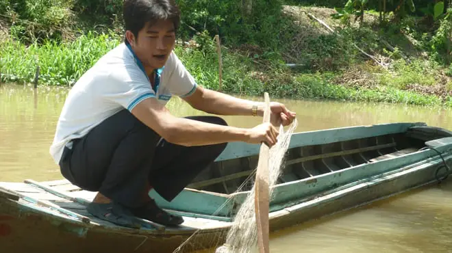 bị cá nóc cắn bị cá nóc cắn