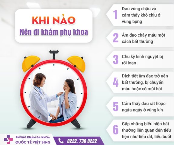 Bị Chó Cắn Nên Làm Gì? Hướng Dẫn Xử Lý Vết Thương Và Tiêm Phòng Bệnh Dại Khi nào cần đi khám bác sĩ?