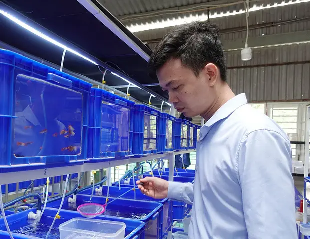 Cá 7 Màu Nha Trang: Đặc Điểm, Chăm Sóc Và Nơi Tìm Mua Chất Lượng cá 7 màu nha trang