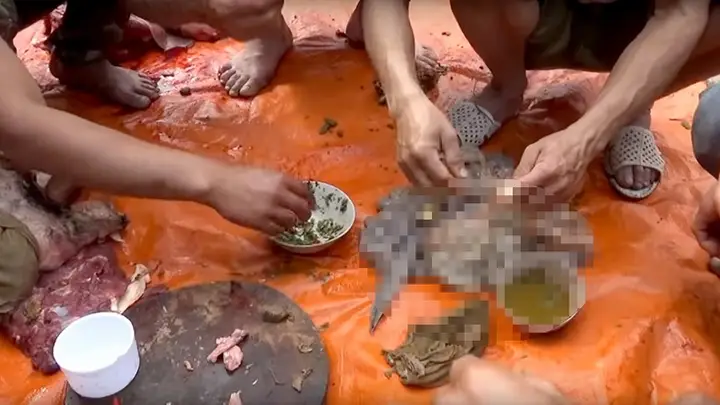 cá ăn phân cá cảnh cá ăn phân cá cảnh