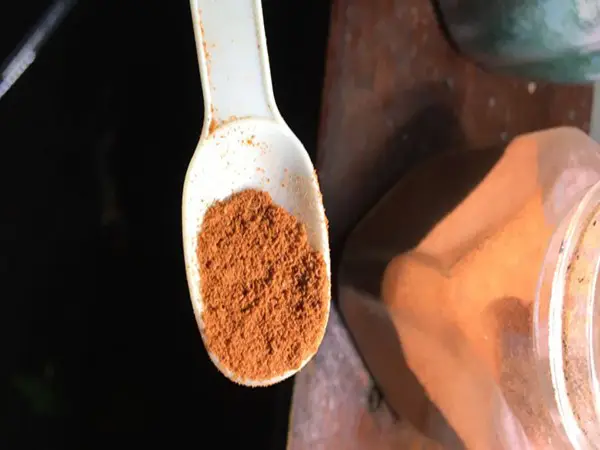 cá bảy màu ăn gì cá bảy màu ăn gì