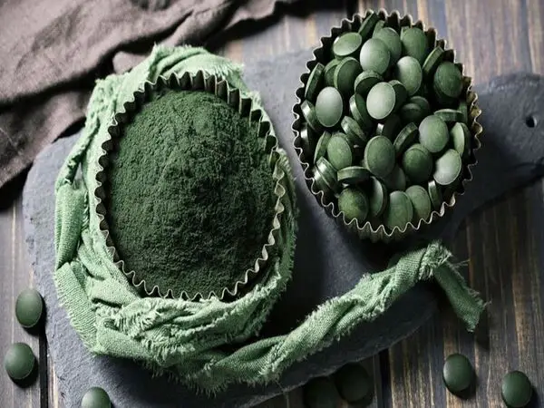 cá bảy màu ăn trùn chỉ cá bảy màu ăn trùn chỉ