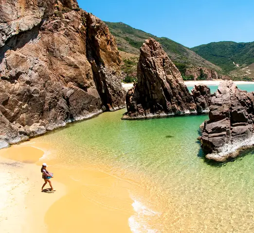 cá bảy màu quy nhơn cá bảy màu quy nhơn