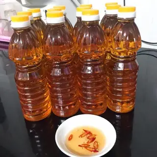 cá bảy màu quy nhơn cá bảy màu quy nhơn