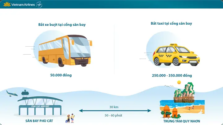 cá bảy màu quy nhơn cá bảy màu quy nhơn