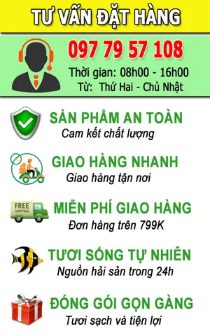 cá biển màu đỏ cá biển màu đỏ