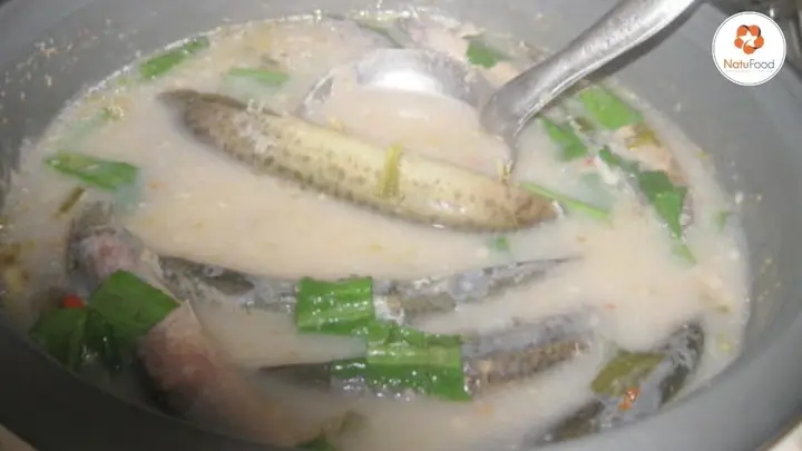 cá bò nước mặn cá bò nước mặn