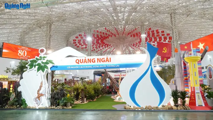 cá cảnh quảng ngãi cá cảnh quảng ngãi