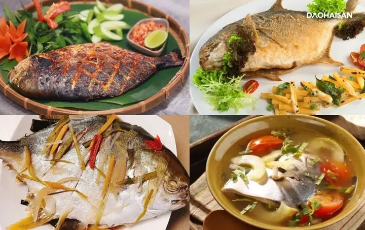 cá chim én biển cá chim én biển