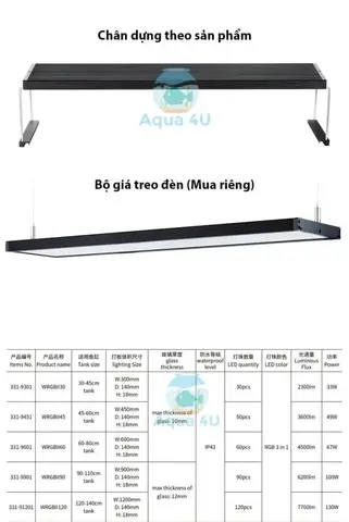 cá cho bể thủy sinh cá cho bể thủy sinh
