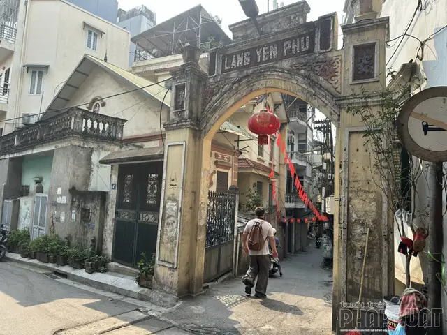 cá chọi chiến hà nội cá chọi chiến hà nội