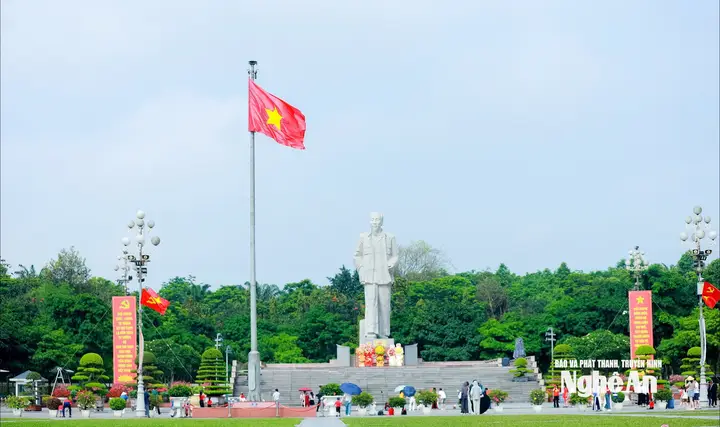 cá cờ đỏ quảng trị cá cờ đỏ quảng trị