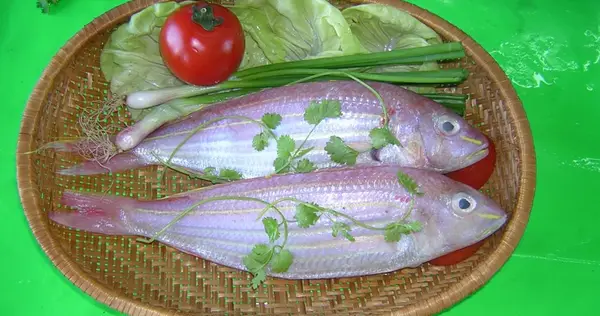 cá đổng giá bao nhiêu cá đổng giá bao nhiêu
