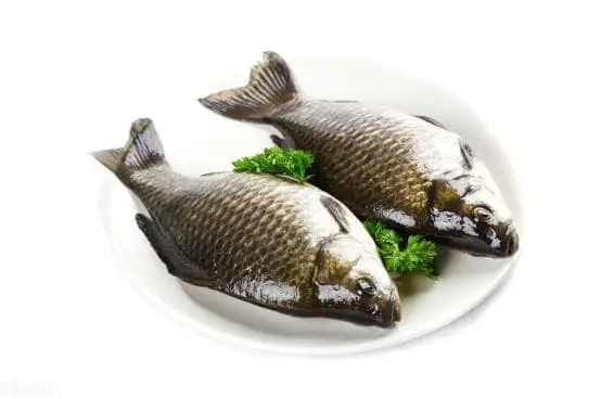 cá giống cá diếc cá giống cá diếc