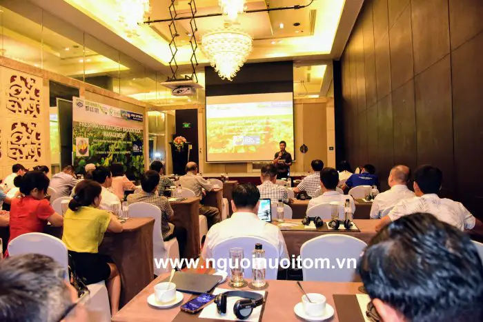 Cá Giống Là Gì? Giải Thích Chi Tiết Từ A Đến Z cá giống là gì