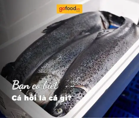 cá hồi tự nhiên cá hồi tự nhiên