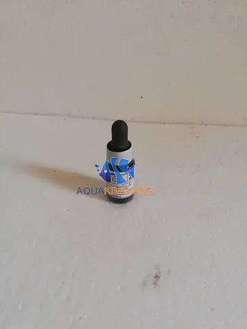 cá la hán bị nấm trắng cá la hán bị nấm trắng